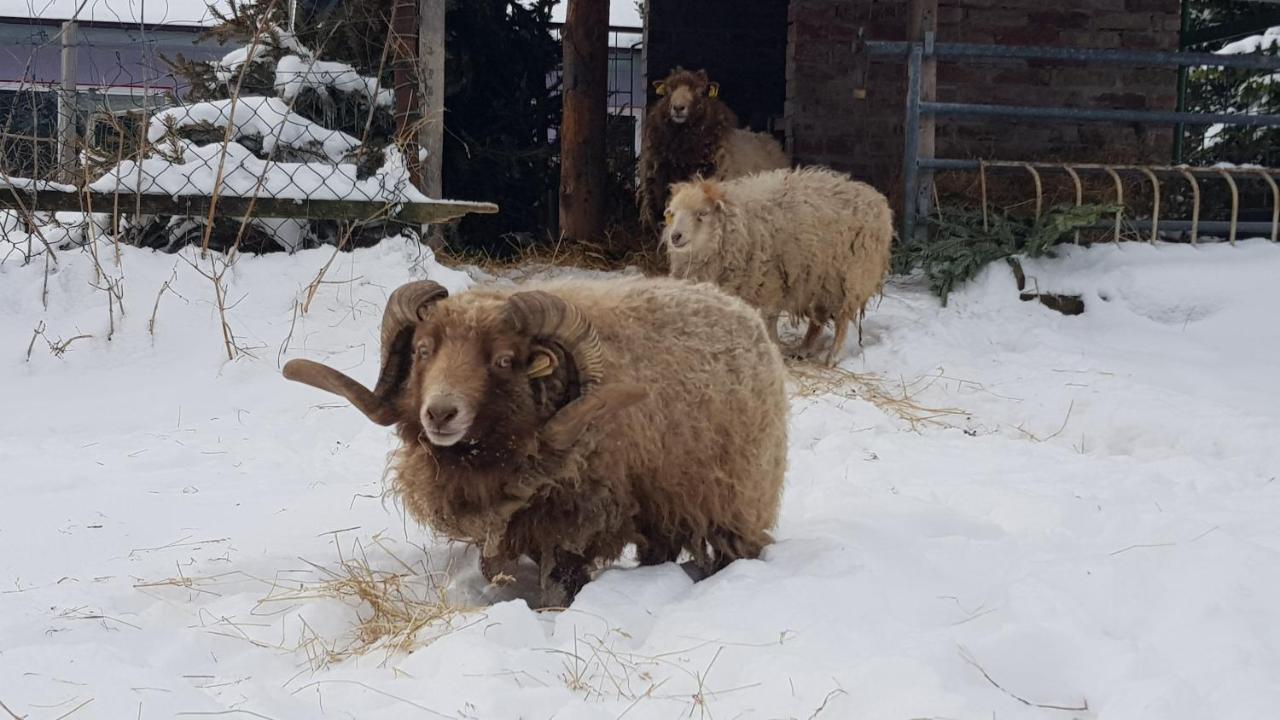 Zimmervermietung Zahn Baalberge Luaran gambar