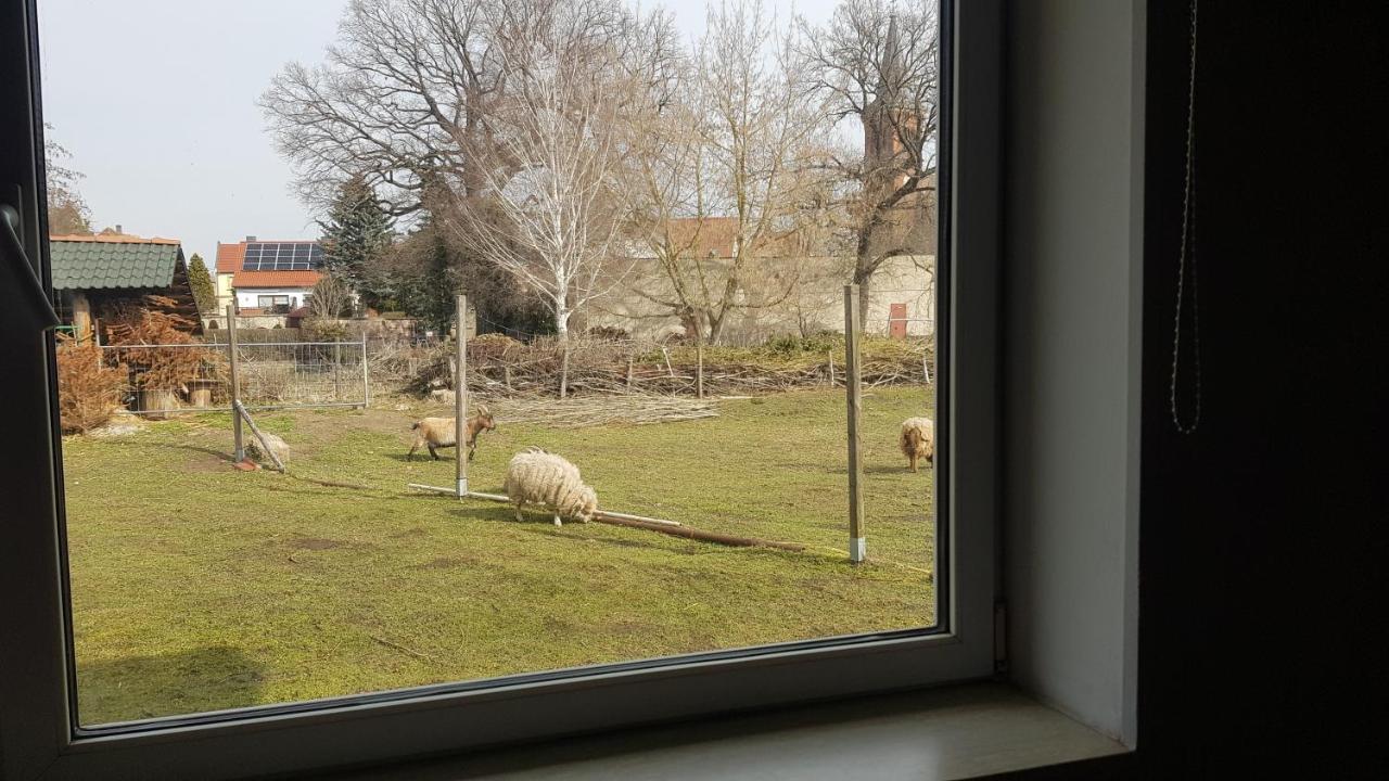 Zimmervermietung Zahn Baalberge Luaran gambar